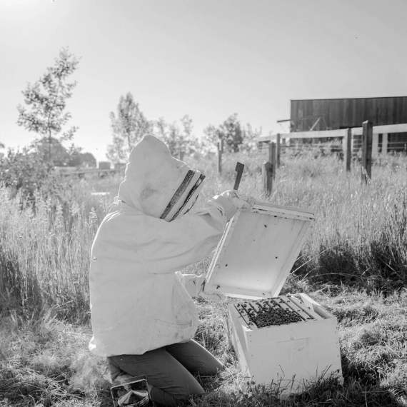 Beekeeping Supplies Sweet Justice Honey Pty Ltd