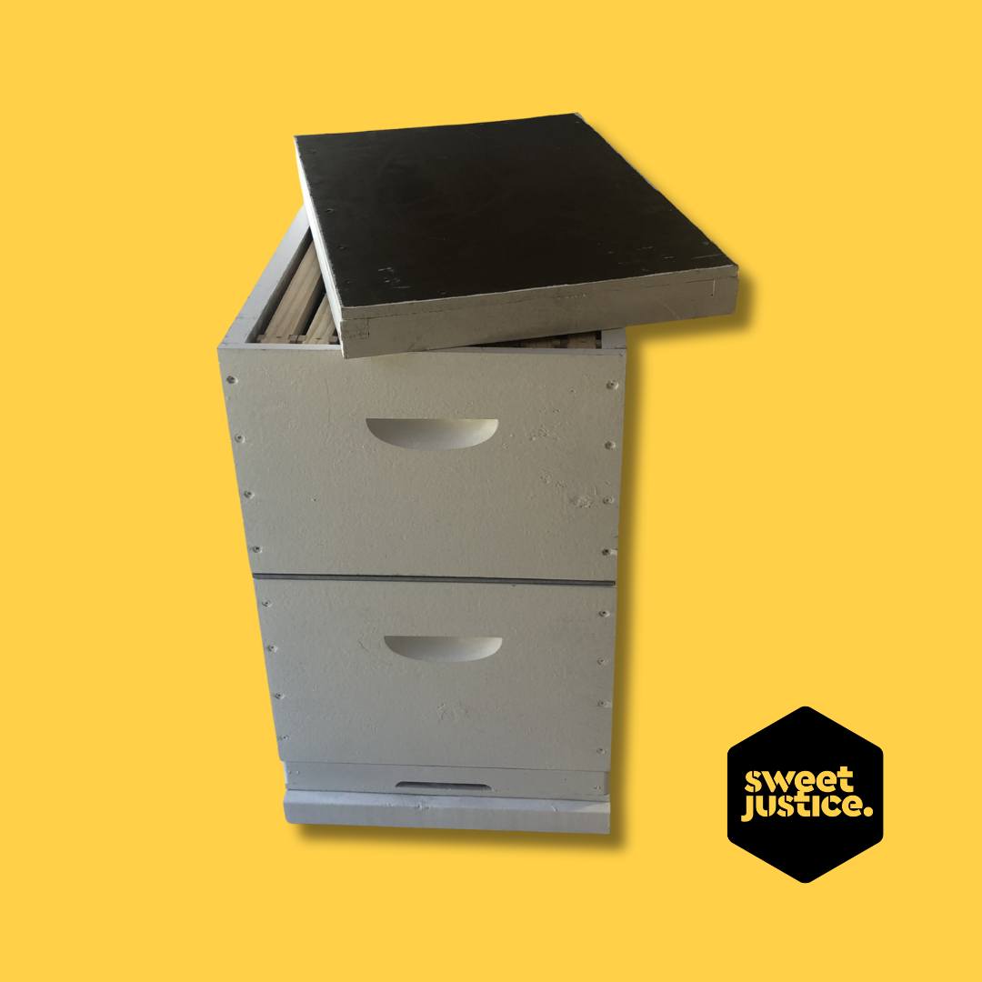 2-Box Starter Kit