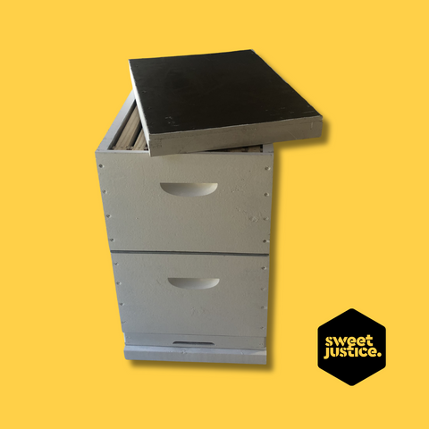 2-Box Starter Kit